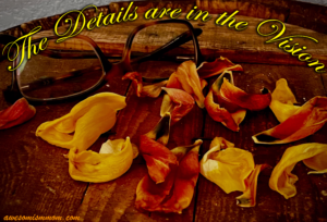 The Details are in the Vision | AwesomismMom